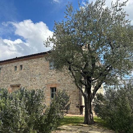 Borgo Cardaneto Bed and Breakfast Montone  Εξωτερικό φωτογραφία