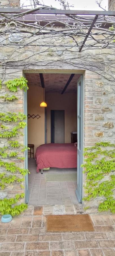 Borgo Cardaneto Bed and Breakfast Montone  Εξωτερικό φωτογραφία