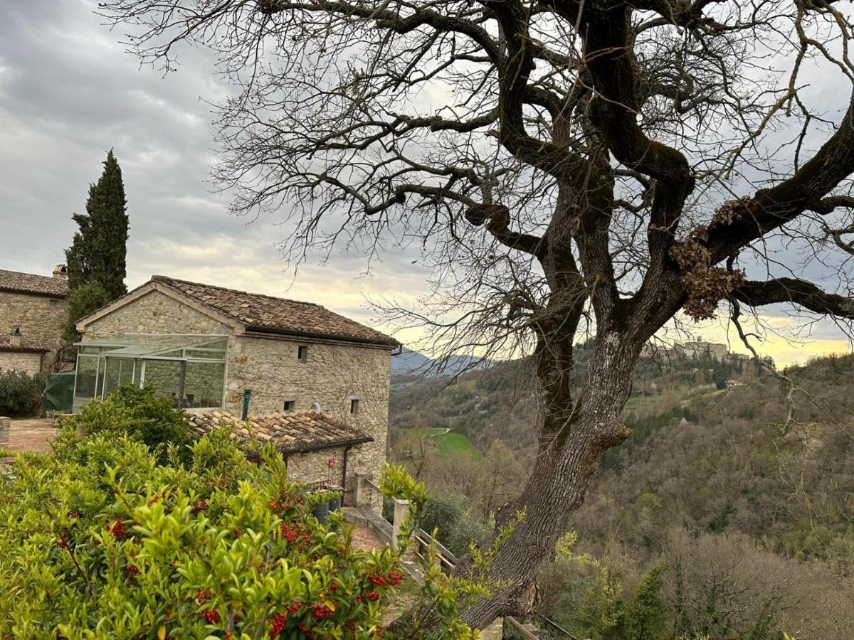 Borgo Cardaneto Bed and Breakfast Montone  Εξωτερικό φωτογραφία
