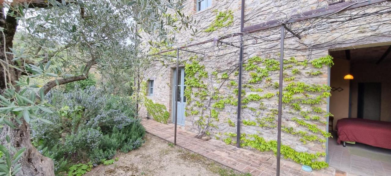 Borgo Cardaneto Bed and Breakfast Montone  Εξωτερικό φωτογραφία