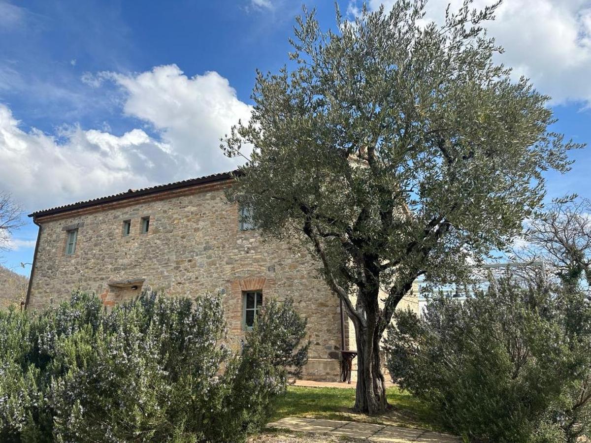 Borgo Cardaneto Bed and Breakfast Montone  Εξωτερικό φωτογραφία