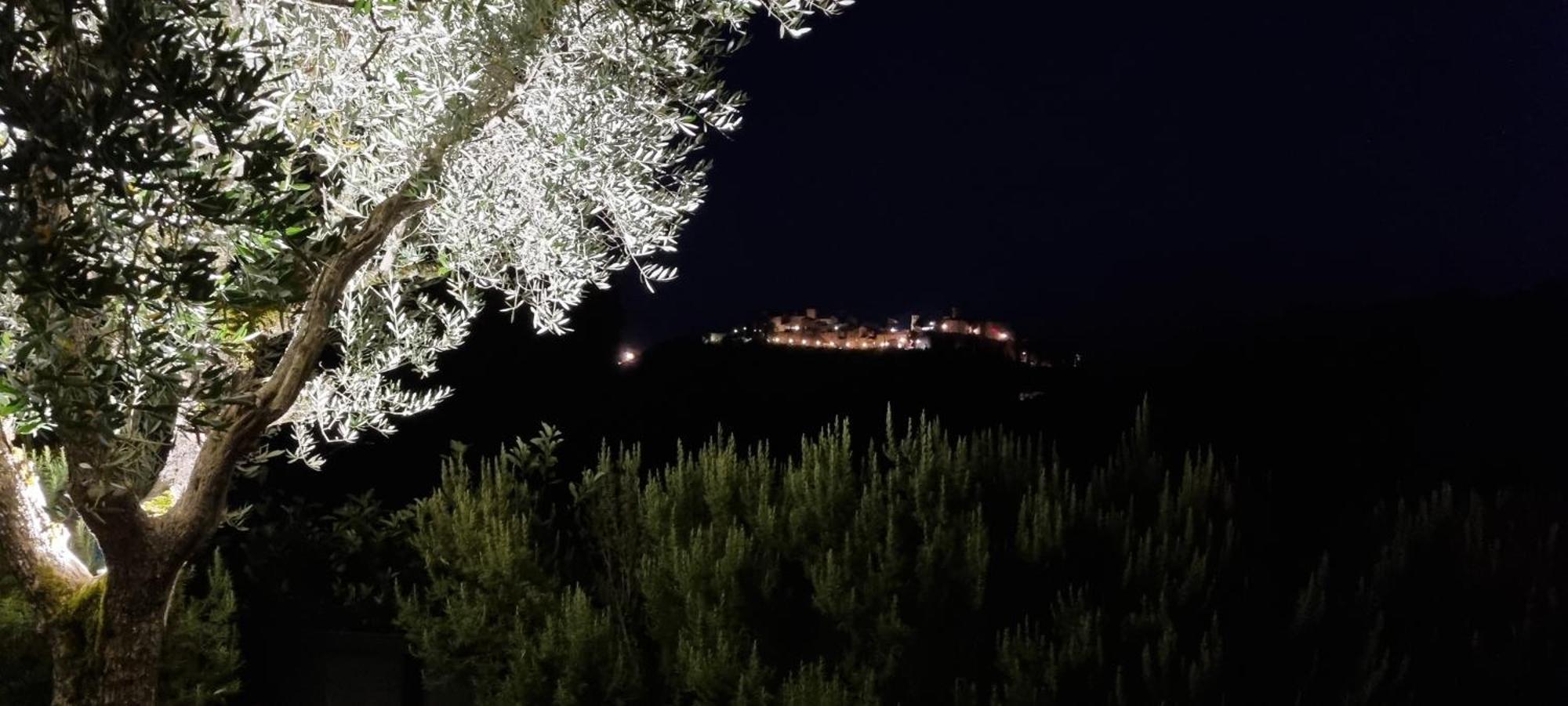 Borgo Cardaneto Bed and Breakfast Montone  Εξωτερικό φωτογραφία