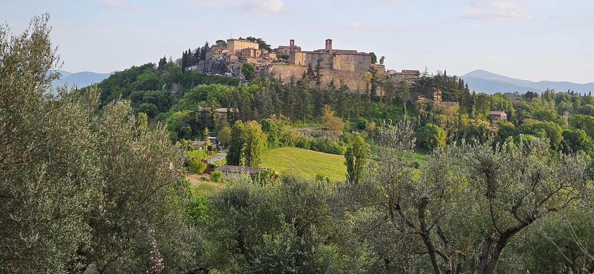 Borgo Cardaneto Bed and Breakfast Montone  Εξωτερικό φωτογραφία